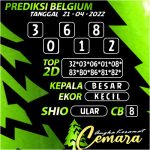 Angka Keramat Belgium, Angka Keramat Cemara