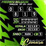 Angka Keramat Belgium, Angka Keramat Cemara