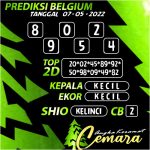 Angka Keramat Belgium, Angka Keramat Cemara